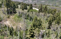 22738 E SNOWBIRD Dr, Spanish Fork, UT 84660