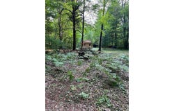 4123 Waterman Road, Vassar, MI 48768