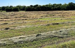 Tbd 12 W Audie Murphy Parkway, Farmersville, TX 75442