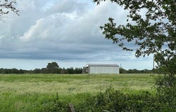 8616 Schuster Road, Round Top, TX 78954