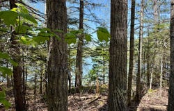 Lot 14A West Shore Road, Sorrento, ME 04677