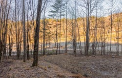 Mccracken Road lot: 1, Bryson City, NC 28713