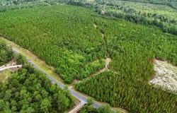 687 White Pond Road, Williston, SC 29853
