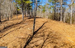 0 County Road 269, Wedowee, AL 36278