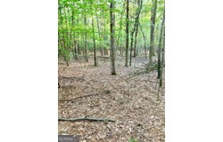 0 Archer Grove School, Athens, GA 30607