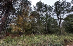 000 Bankside, Livingston, TX 77351