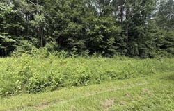 Tract 2 COUNTY ROAD 103, WOODLAND, AL 36280