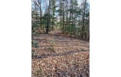 0 Bull Neck Rd, Caret, VA 22436