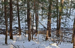 L 17 Rice Road, Hope, NY 12134