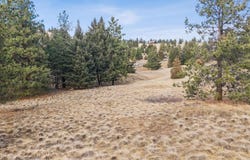 103 Terrace Road, Kalispell, MT 59901