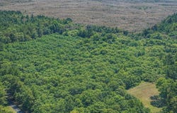 Bruce Circle lot: 17, Dublin, GA 30121