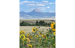 333 Shining Mountains Loop, Ennis, MT 59729