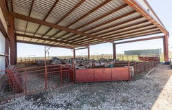 3333 FM 382, Lawn, TX 79530