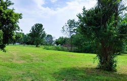 305 N Madison Street N, Morehouse, MO 63868