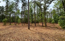 Harkins Ln., Marshall, TX 75672