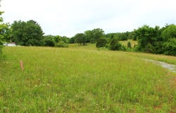695 Calvert Road, Adolphus, KY 42120
