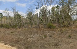 Lot 34 TWIN LAKES BLVD, INTERLACHEN, FL 32148