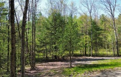 Tracy Road, Coventry, NY 13730