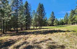 River Road lot: 1, Troy, MT 59935