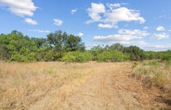 Tract 6 State Highway 6, Moran, TX 76464