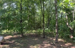 1004 Herpel Rd,, Mountain View, AR 72560