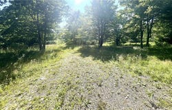 3843 Pre-Emption Road, Tyrone, NY 14891