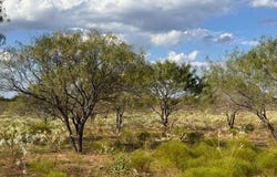1002 N Fm 55, Barry, TX 75102