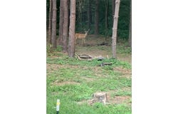 1926 Nesbitt Road, Attica, NY 14011