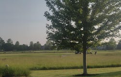6855 Falcon Lane, Canal Winchester, OH 43110