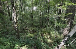 Lot 22 Larue Lane, Ellijay, GA 30540