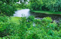 1.35 Acres on Isabella Lane, Sheldon, WI 54766