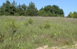 Niagra Drive, Rocky Mount, MO 65072