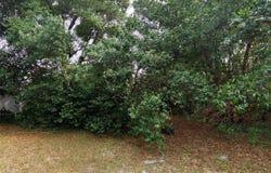 1766 MARKHAM GLEN CIRCLE, LONGWOOD, FL 32779
