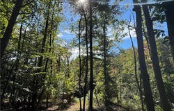 Rainbow Trout Drive, Hays, NC 28635