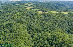 Tract #16 Willis Creek, Albany, KY 42602