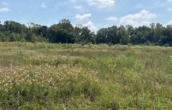 1652 Bland Chapel Rd, Ward, AR 72176-0000