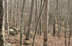 Morgan Court, Lords Valley, PA 18428