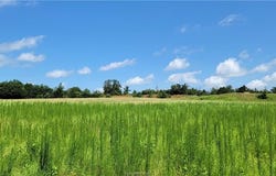 0001 Lone Star Lane, Franklin, TX 77856