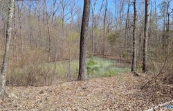 377 Blowing Cave Road, Gurley, AL 35748