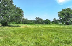 Tbd County Road 1131, Cumby, TX 75433