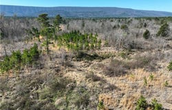 29067 River RD, Muse, OK 74949