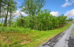 Lot 53 High Summit Drive, Talking Rock, GA 30175