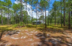 12320 SW 62ND PLACE, OCALA, FL 34481