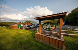 1364 County Highway 12, New Lisbon, NY 13810