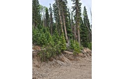 Lot 39 West Village, Beaver, UT 84713