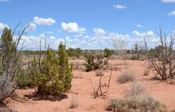 Lot 020b E 24th N Street, Snowflake, AZ 85937