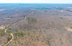 Larkin Mountain, Amherst, VA 24521