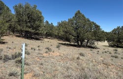 520 W View Road, Cotopaxi, CO 81223