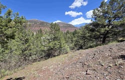 238 Pine Ridge Drive, Ridgway, CO 81432
