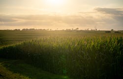 TBD 286th St, Murdock, NE 68407